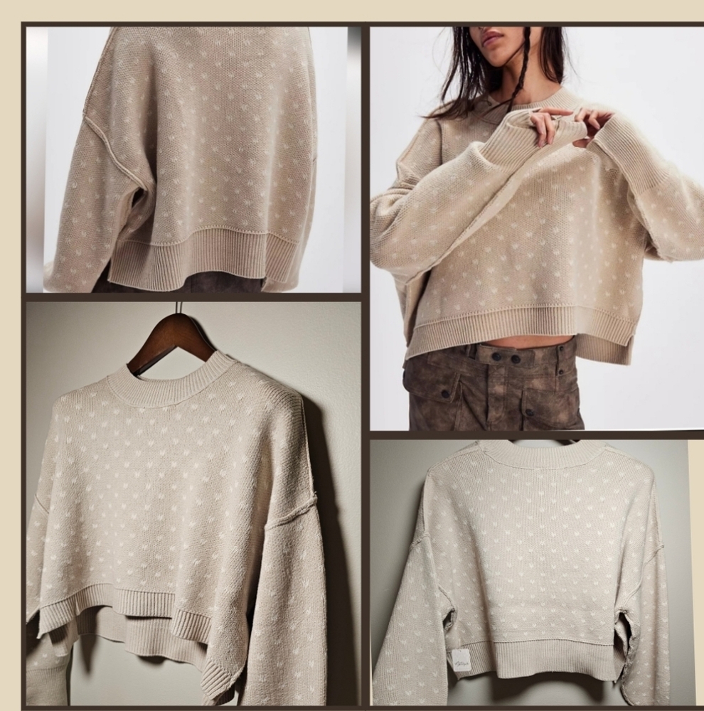 Free People Easy Street knit Crop Sweater Oatmeal  Size Small